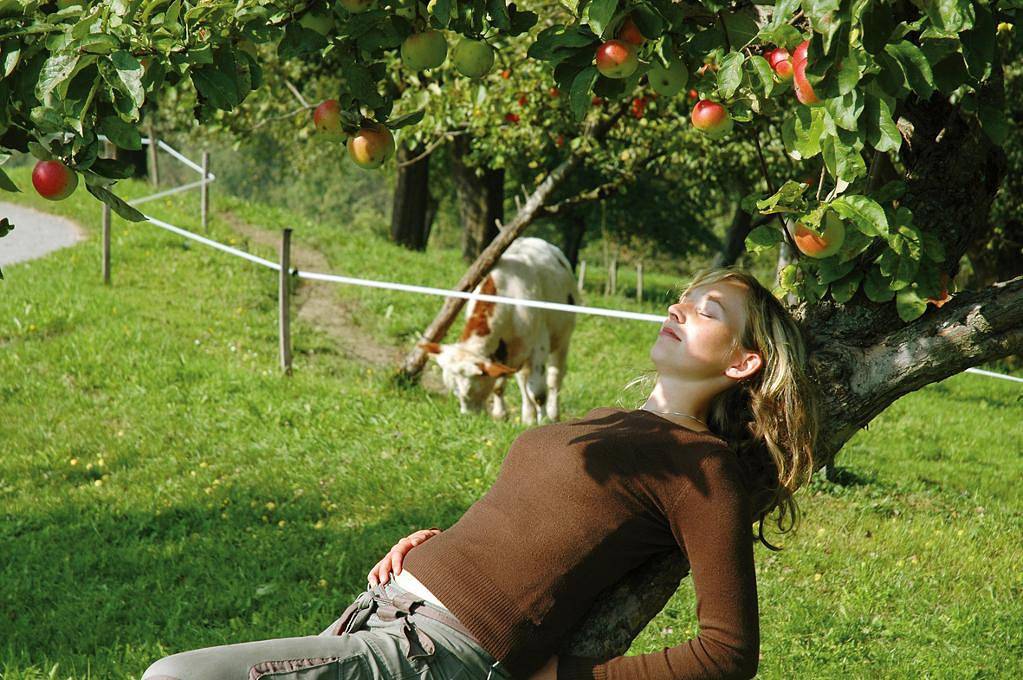 Ganze Wohnung, Nussbaumerhof - Ferienwohnung "Freithofberg" in Mostviertel-Eisenwurzen