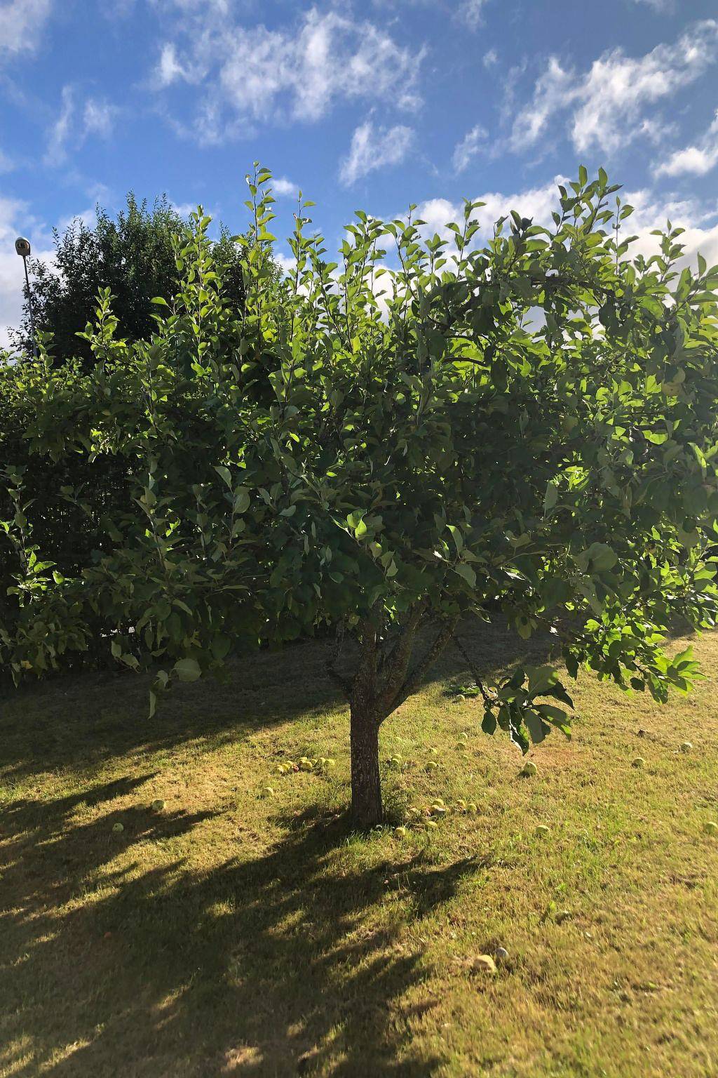 "Villa Tina" in Jämtland