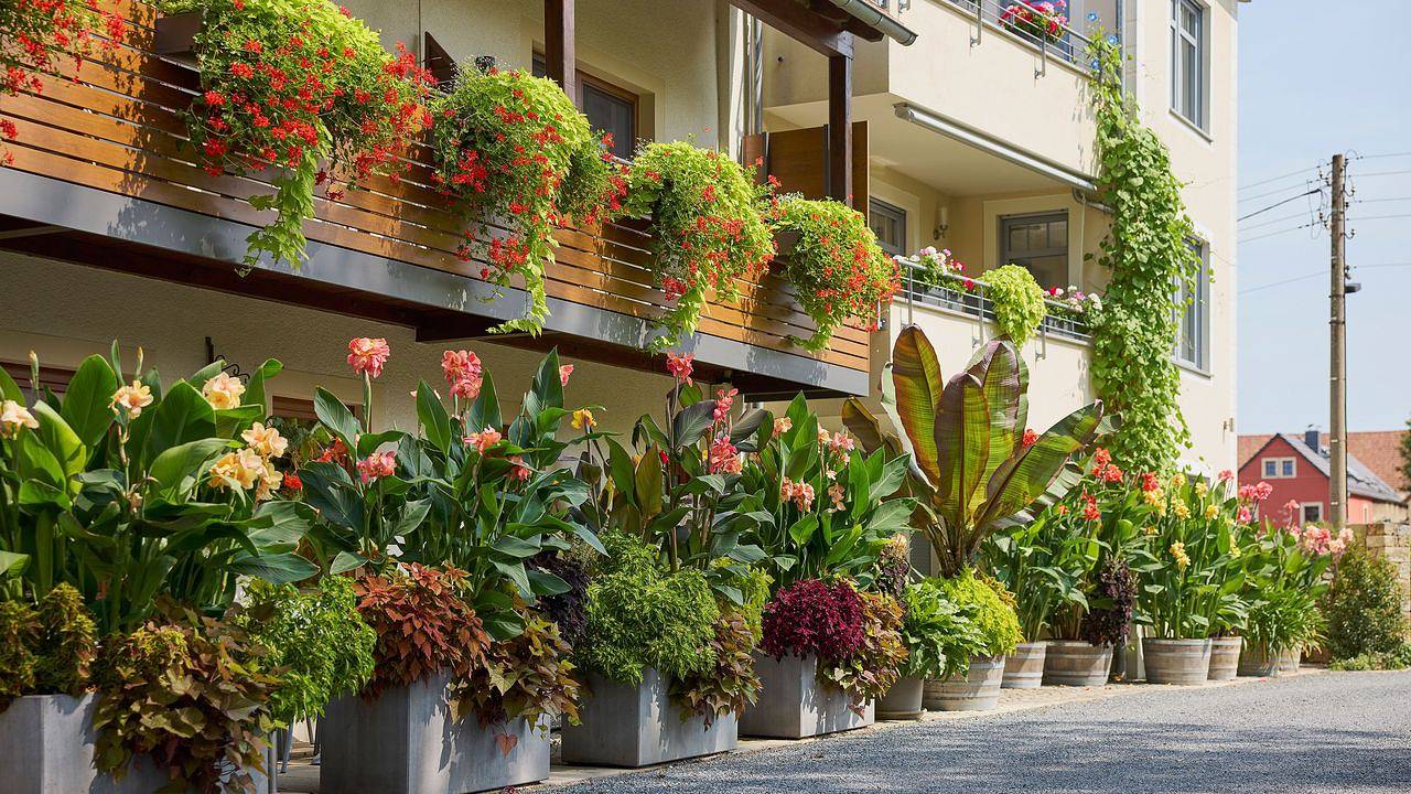 Einzelzimmer für 1 Person in Moritzburg in Moritzburg, Meißen Region