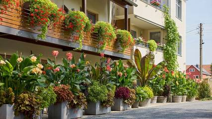 Ferienwohnung für 4 Personen in Moritzburg, Meißen Region, Bild 3