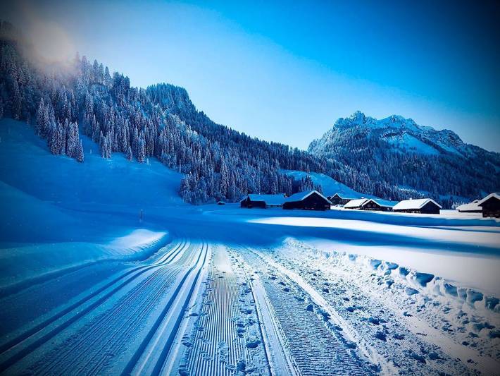 Ferienwohnung für 5 Personen, mit Garten und Ausblick sowie Terrasse, kinderfreundlich in Bizau - 4