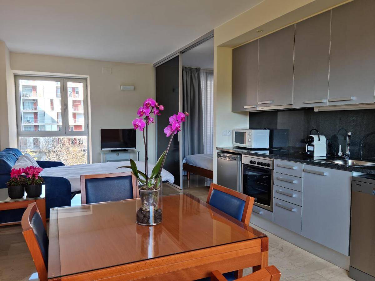 Entire apartment, One-Bedroom Apartment with Twin Beds in Girona, Gironès