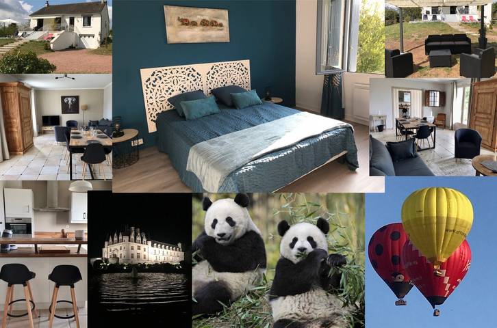 Villa pour 6 personnes, avec terrasse et jardin, animaux acceptés en Indre-et-Loire - 3