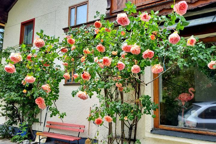 Ganze Ferienwohnung, Ferienwohnung Haus Wagner - Fewo Haus Wagner in Bad Goisern ort, Bad Goisern