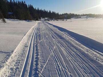 Feriehus til 4 Personer i Sigdal , Viken, Bilde 4