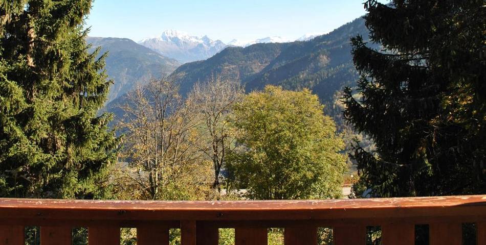 Gîte pour 20 personnes, avec jardin et vue dans Doucy - 4