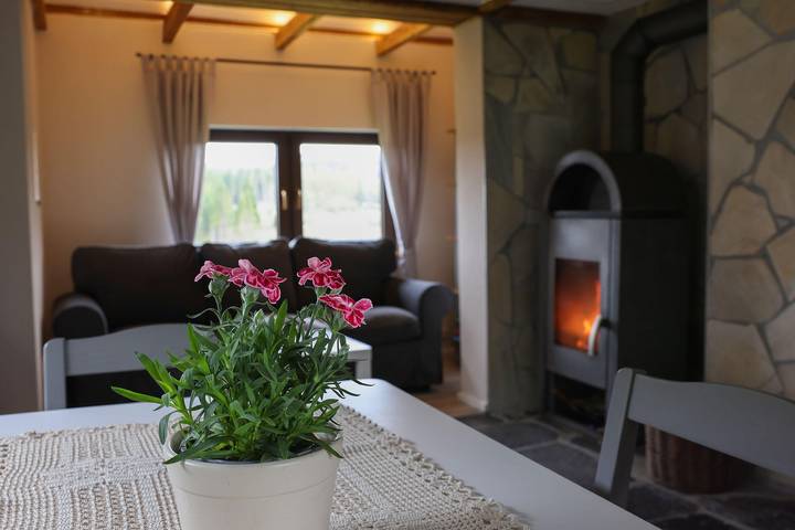 Ferienhaus für 5 Personen, mit Terrasse und Garten im Westerwald - 4