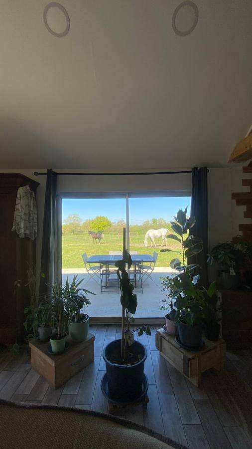 Gîte pour 2 personnes, avec terrasse à Saligny-sur-Roudon - 3