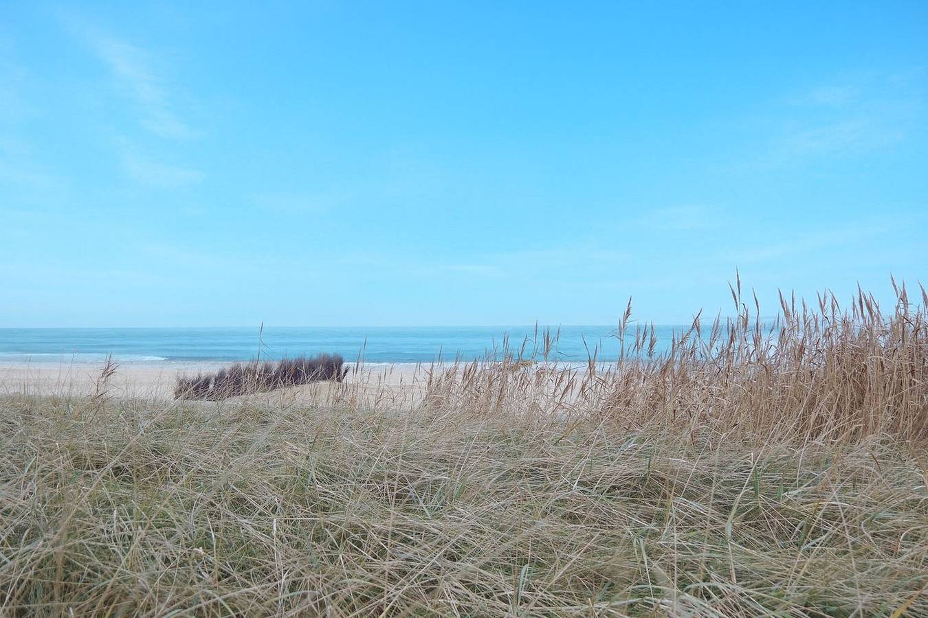 Ganze Wohnung, Ferienwohnung in Duhnen 1. Reihe am Strand | Seehütte 004 in Duhnen, Cuxhaven