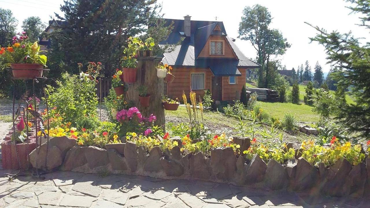 Domek Pod Kogutkiem Na Dolinie in Bukowina Tatrzańska, Karpaty (Polska)