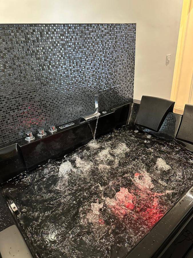 Gîte pour 2 personnes, avec vue à Ivry-sur-Seine - 2