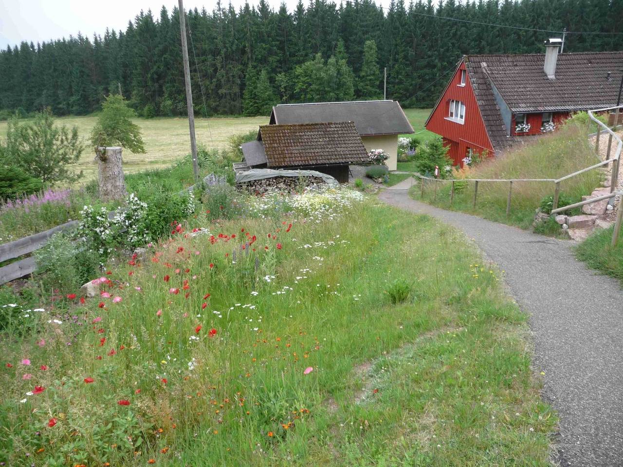 Ferienhaus Elfi in Eisenbach, Südschwarzwald