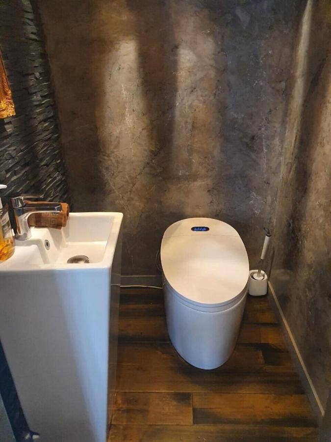 Location de vacances pour 10 personnes, avec jardin et piscine ainsi que jacuzzi et sauna à Pessac - 2