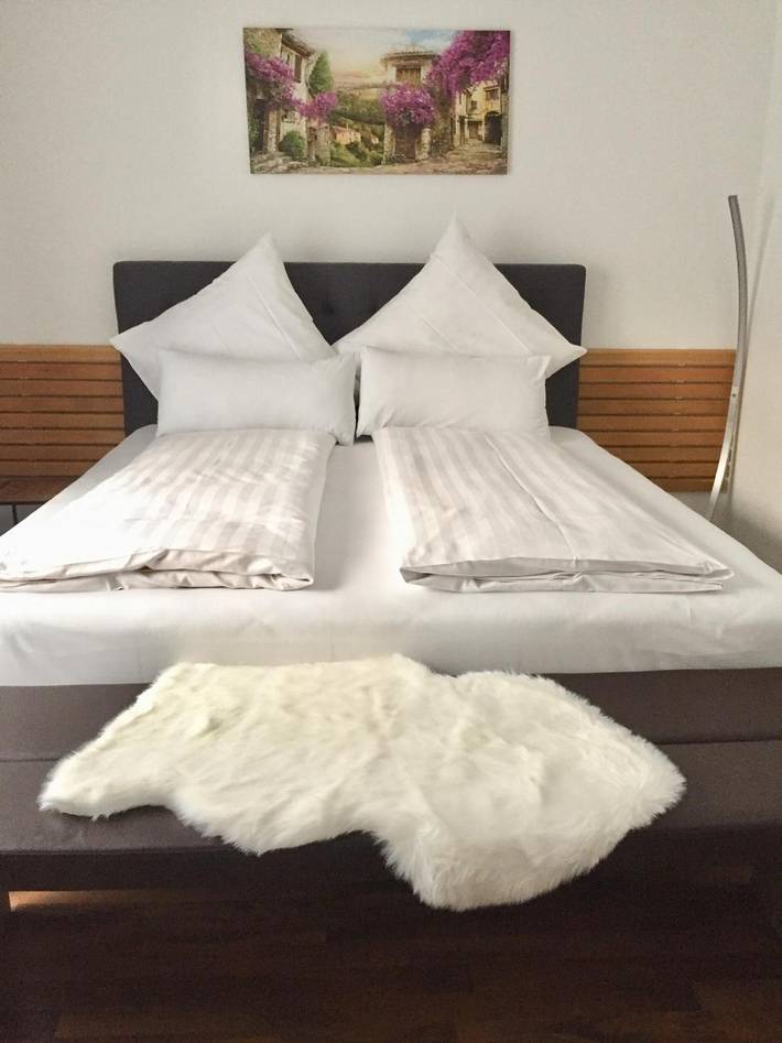 Ganze Wohnung, Apartment 'Am Bodensee- Zentrale' mit privatem Garten und Wlan in Friedrichshafen, Region Bodensee-Oberschwaben