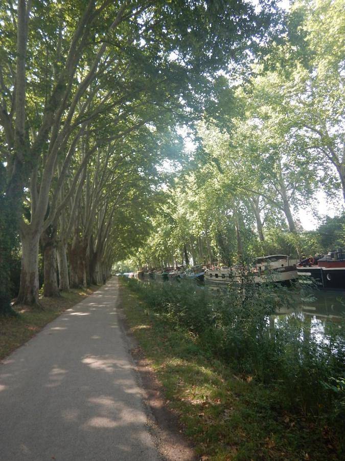 Gîte pour 6 personnes à Ramonville-Saint-Agne - 4