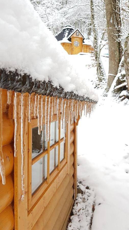 Chalet in Metzeral, Parc naturel régional des Ballons des Vosges