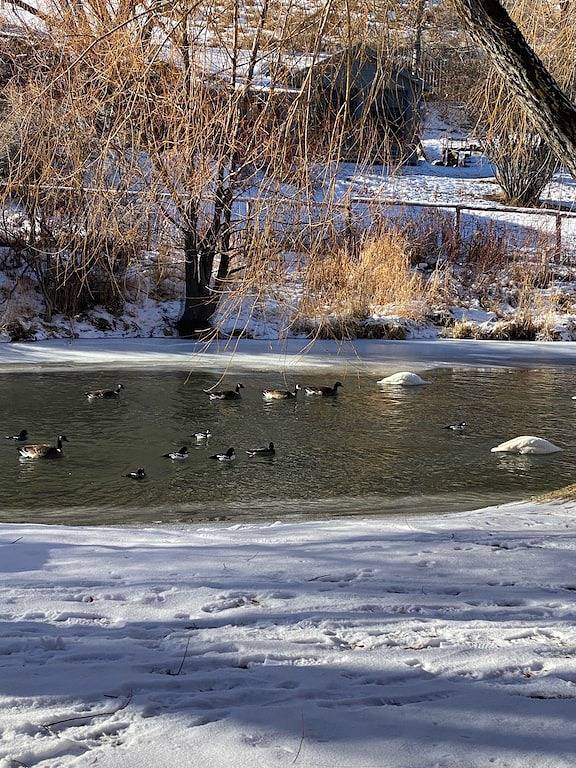 Ganze Wohnung, Downtown Jackson Condo on Flat Creek - Hidden Gem - walking distance to Square! in Jackson (WY), Grand Teton Nationalpark
