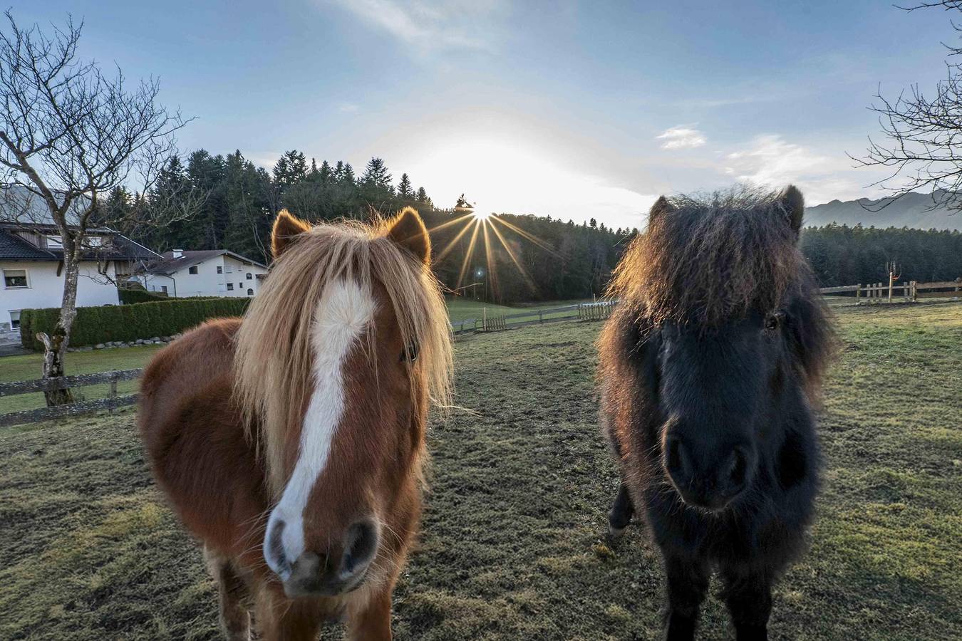 Ganze Ferienwohnung, Studio "Roggnkammer" Riedhof-Zuahaus in Breitenbach am Inn, Kaisergebirge