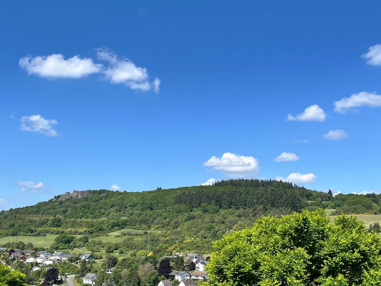 Ganze Ferienwohnung, Ausblick am Mammutbaum - Appartement/Fewo, Dusche oder Bad, 2 Schlafräume in Kirn, Landkreis Bad Kreuznach