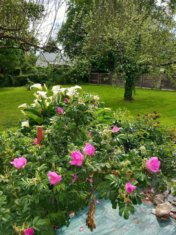 Location de vacances pour 4 personnes, avec jardin à Saint-Dolay - 4