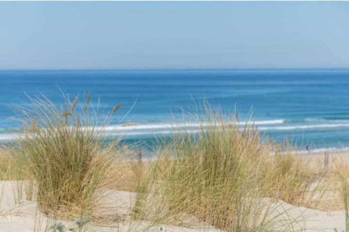 Gîte pour 8 personnes, avec balcon dans Office De Tourisme De Biscarrosse - 2
