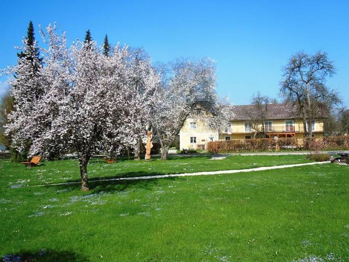 Ferienwohnung für 3 Personen, mit Garten und Ausblick sowie Seeblick in Weyregg am Attersee - 3