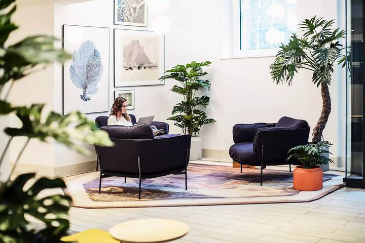 Gîte pour 2 personnes, animaux acceptés à Édimbourg - 4