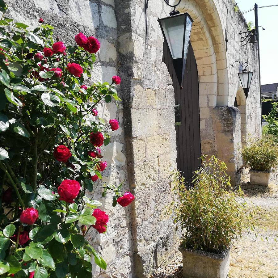 Domaine de Givré in Cravant-les-Côteaux, Vallée de la Loire