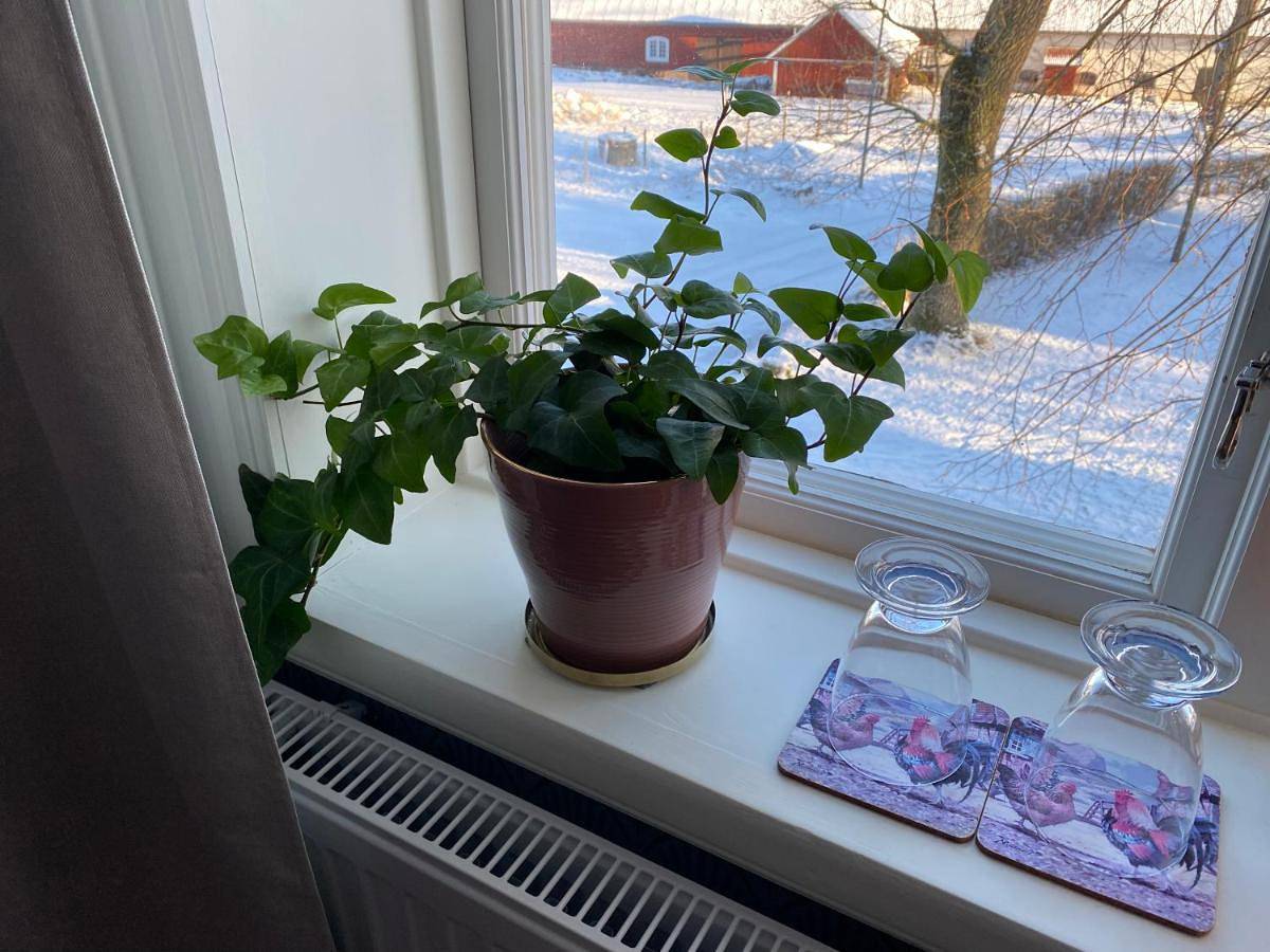 Bjälbo Gästhus B&B in Mjölby, Östergötland