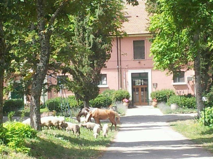 Country House Villa delle Rose Agriturismo in Atella (città antica), Vulture