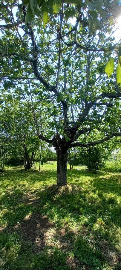 Appartement de vacances entier, Chambres d'hôtes Imago in Sainte-Eulalie (Cantal), Parc naturel régional des Volcans d'Auvergne