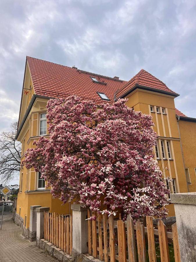 Gîte pour 2 personnes, avec jardin à Hohenstein-Ernstthal - 2