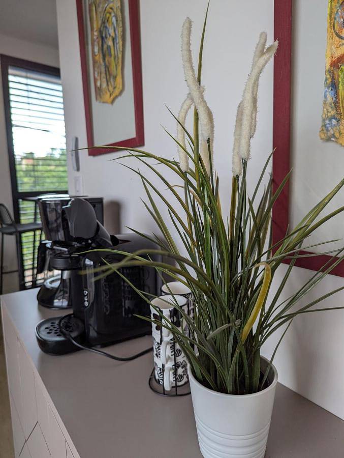 Appartement entier, Two-Bedroom Apartment with Terrace in Riom, Parc naturel régional des Volcans d'Auvergne