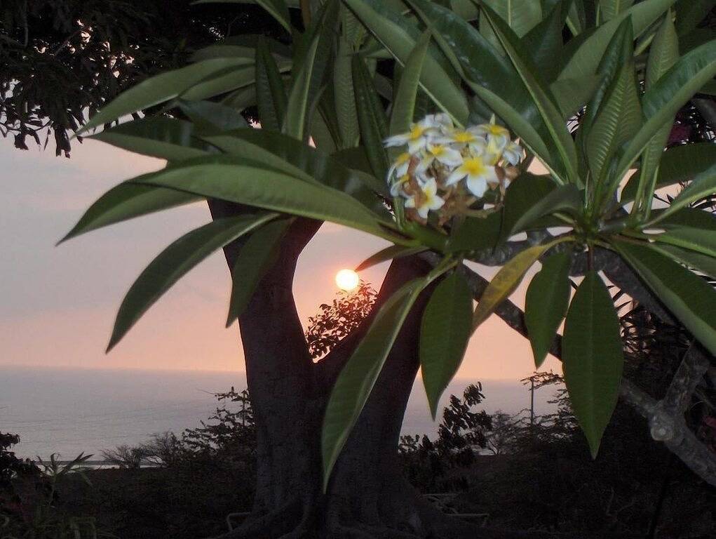 Clean & Green With Ocean View in Waikui, Kawaihae