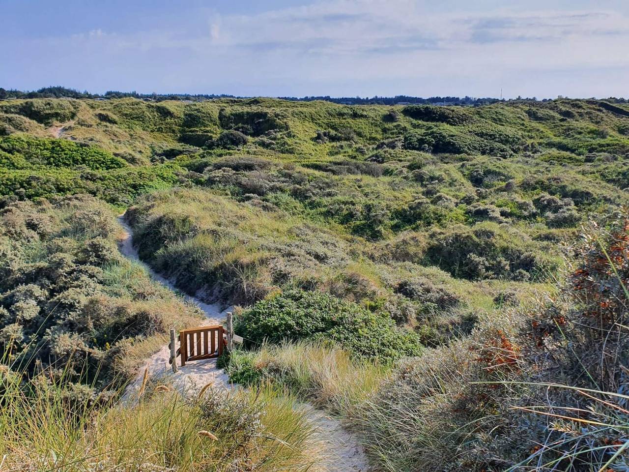 4 person feriebolig i Bindslev in Tversted, Tannis Bugt