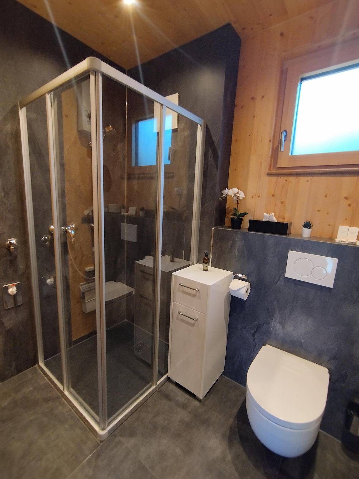 Entire holiday apartment, Holiday home, shower and bath, toilet, terrace in Tux Alps, Pill