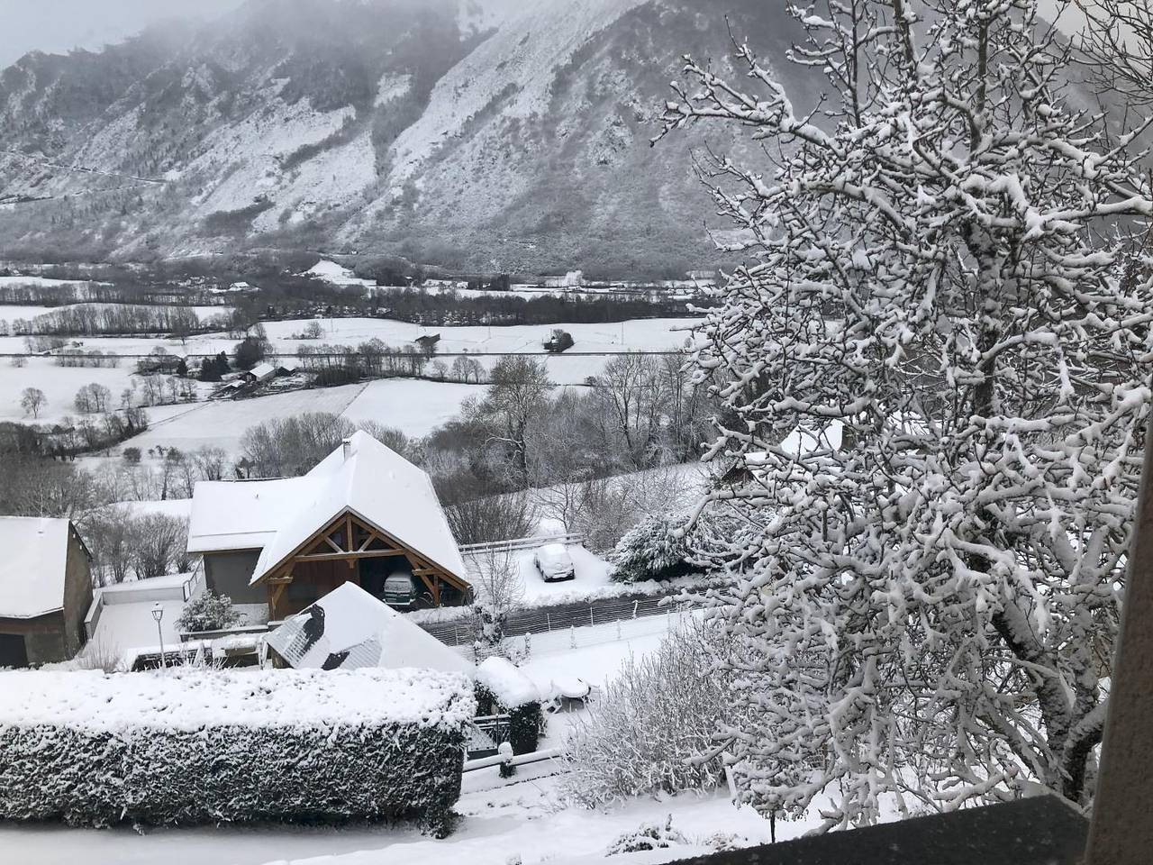 Mamilie in Camparan, Pyrénées