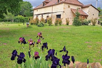 Location de vacances pour 8 personnes, avec terrasse et jardin à Siorac-en-Périgord