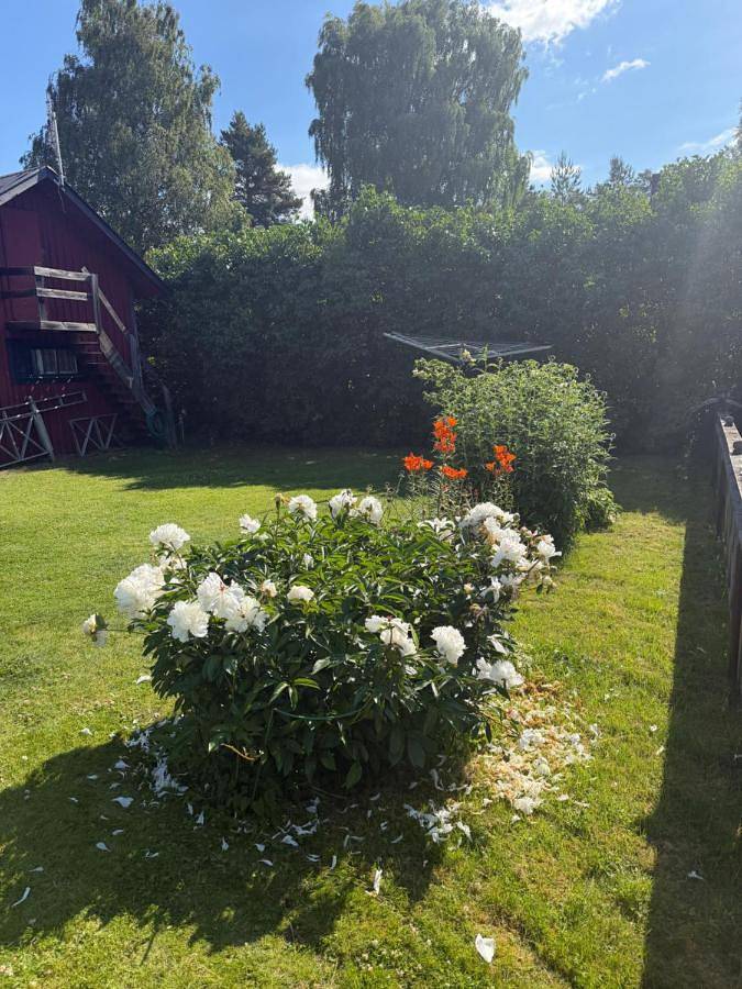 Lasmarmas in Uppsala