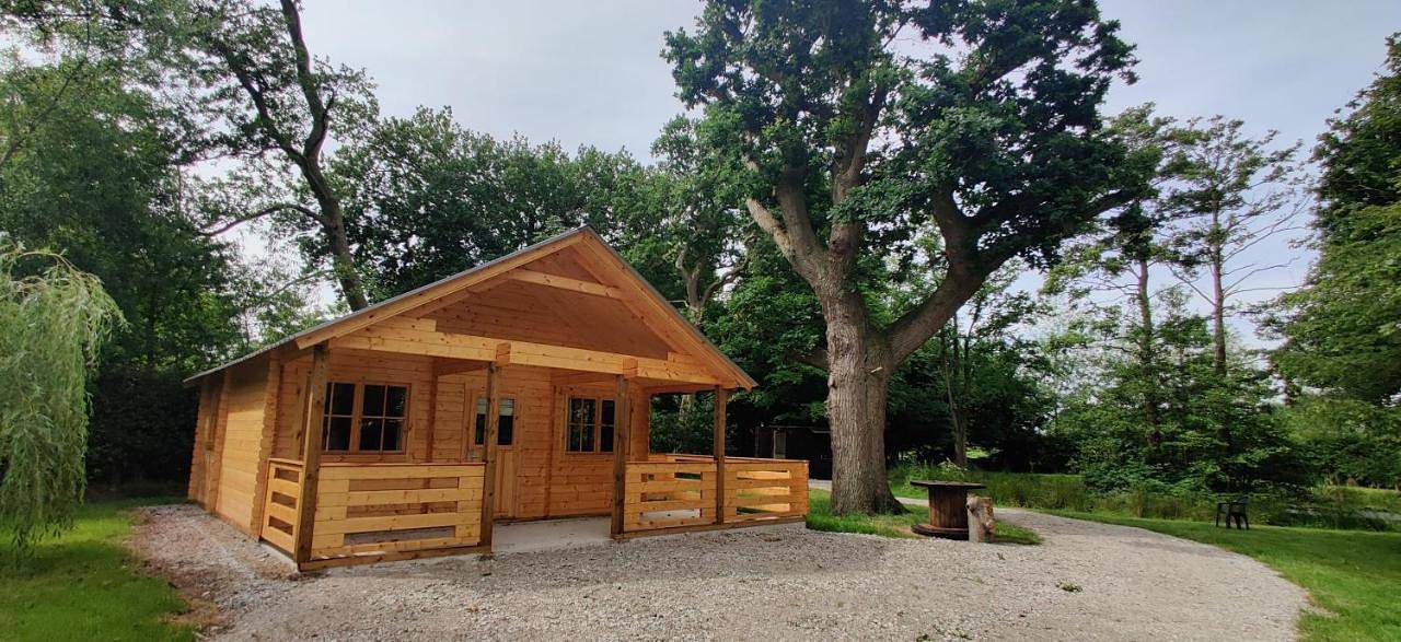 The Willow Cabin - Wild Escapes Wrenbury off grid glamping - ages 12 and over in Wrenbury cum Frith, Cheshire East