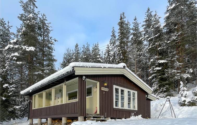 Location de vacances pour 6 personnes, avec terrasse et jardin dans Trysil - 2