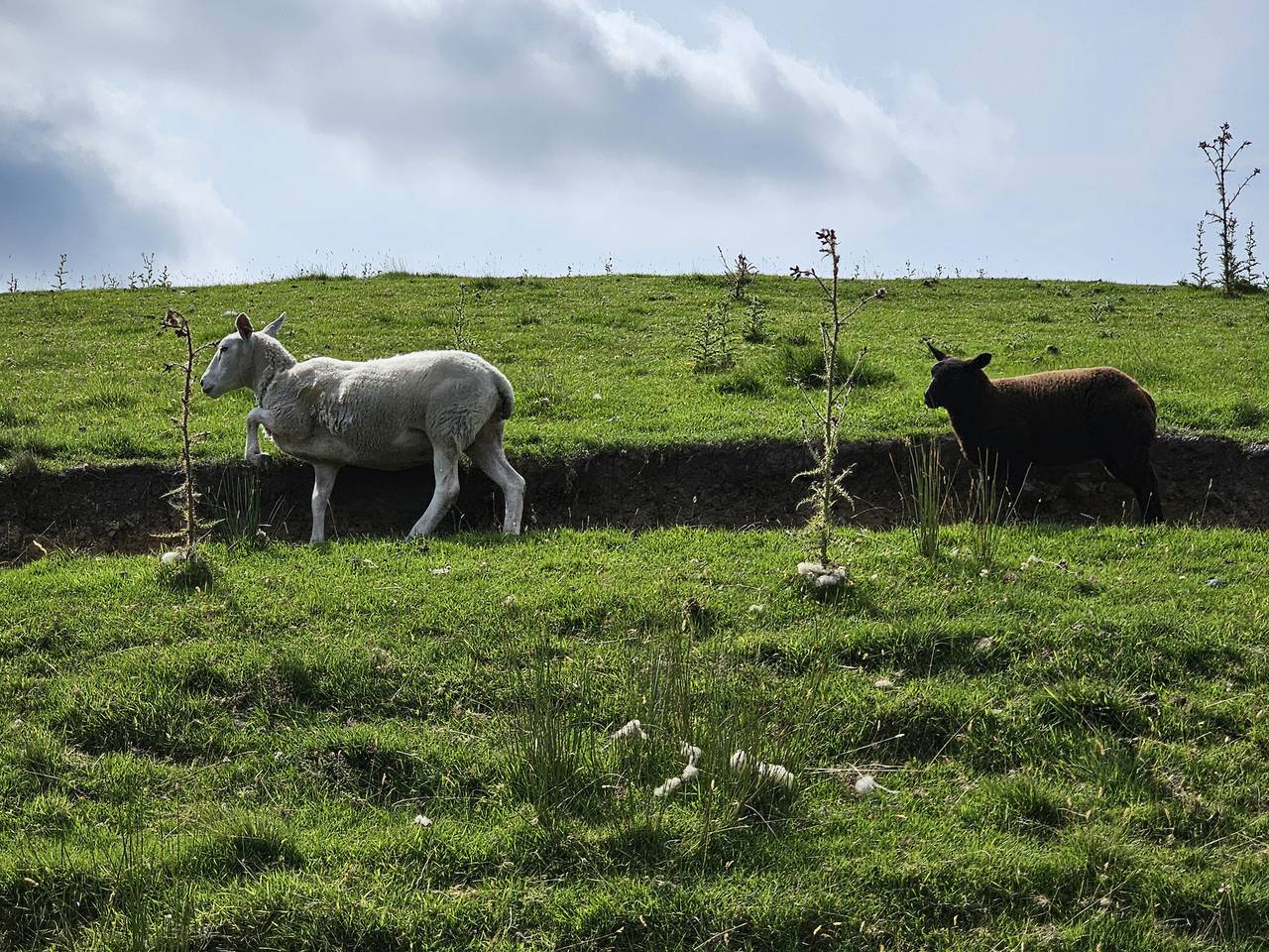 The Milne in West Yorkshire