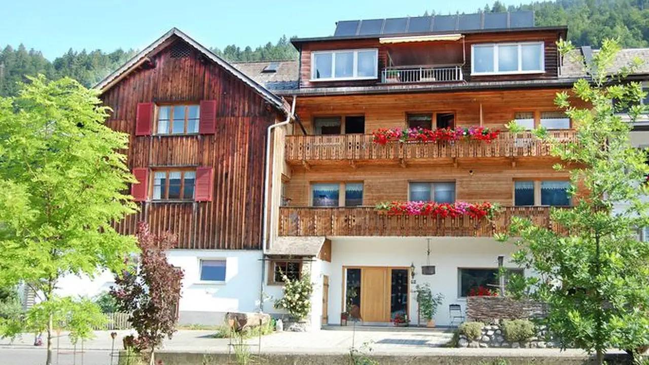 Ganze Ferienwohnung, Ferienwohnung für 3 Personen (45 m²) in Bezau in Bezau, Bregenzerwald