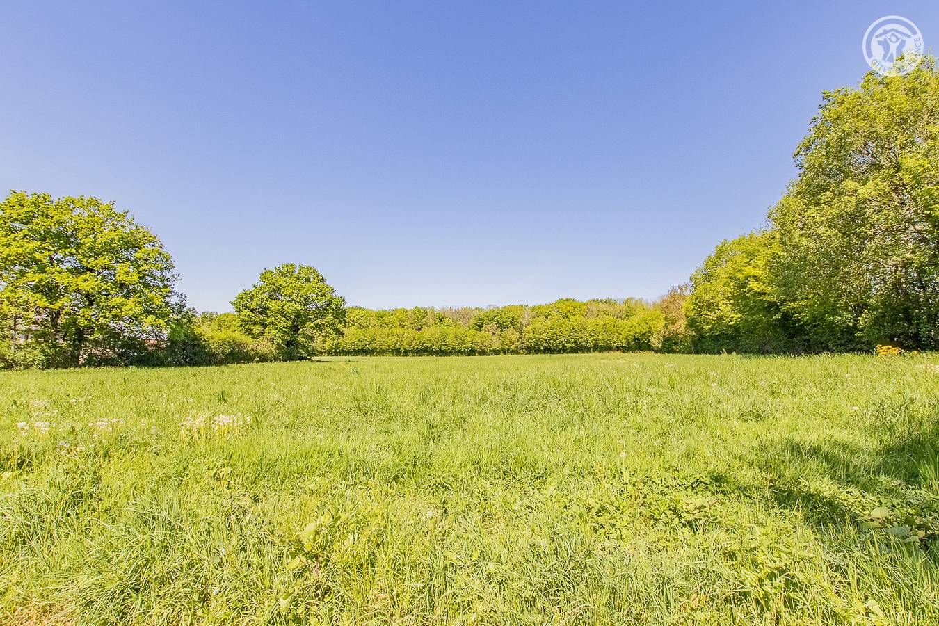 Gîte des Charmes in Pierre-de-Bresse, Región de Louhans