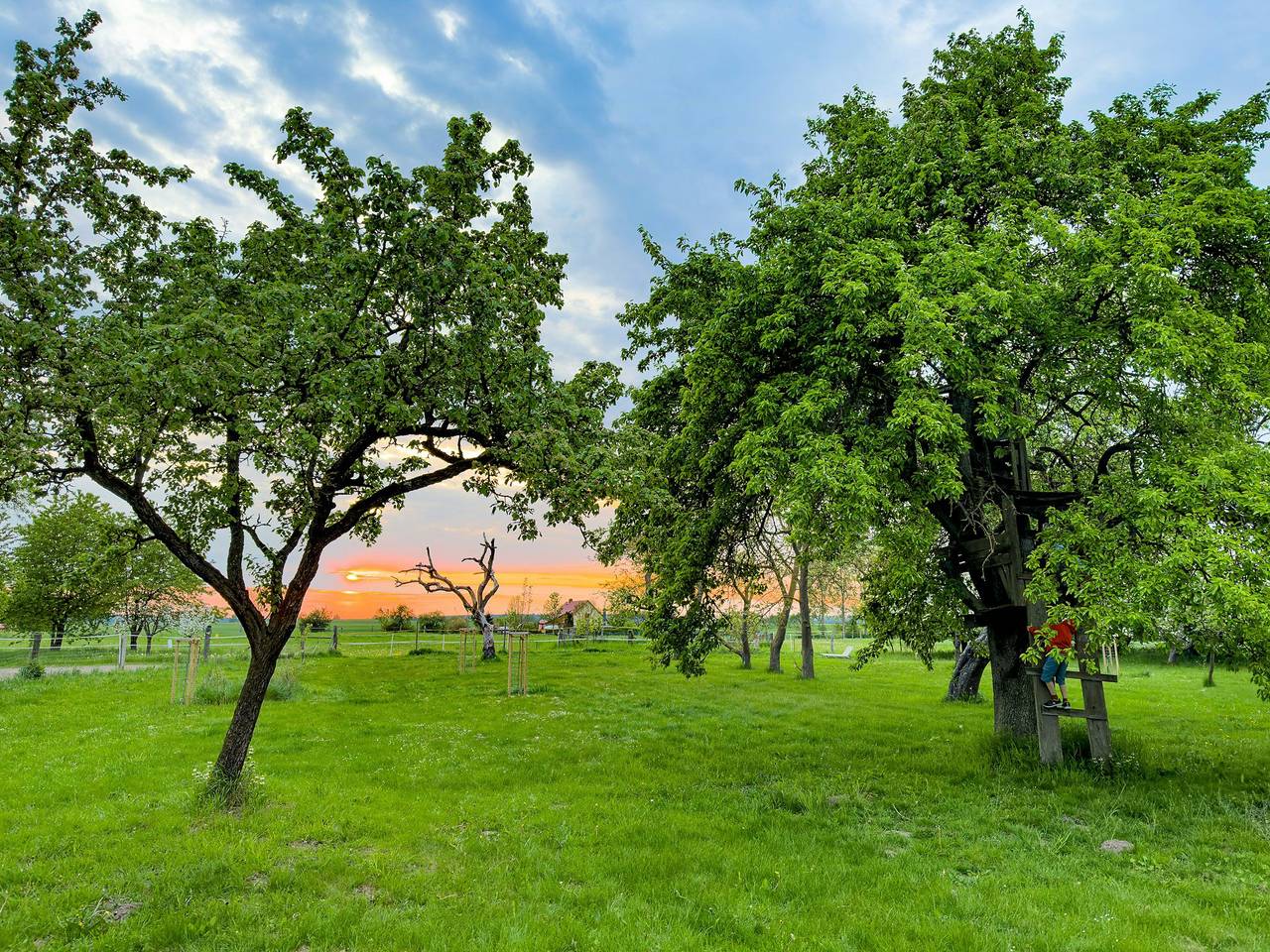 Ganze Wohnung, Großzügiges Apartment mit Terrasse und Gartenblick in Fünfseen, Mecklenburgische Seenplatte