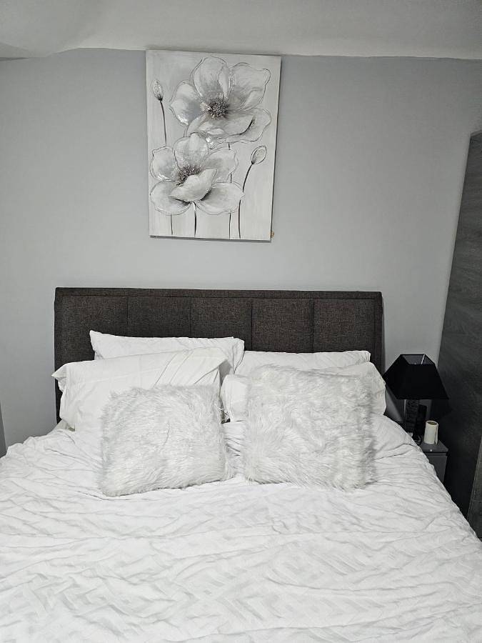 Maison d’hôte pour 4 personnes, avec jardin et vue à Manchester - 2