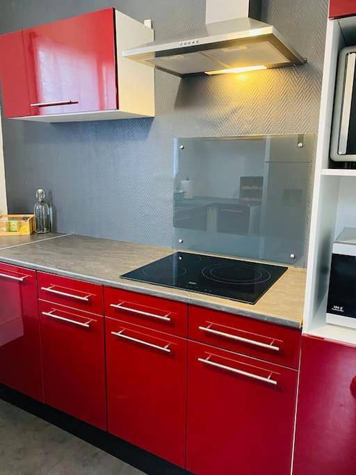 Location de vacances pour 4 personnes, avec terrasse et jardin à Olivet - 3