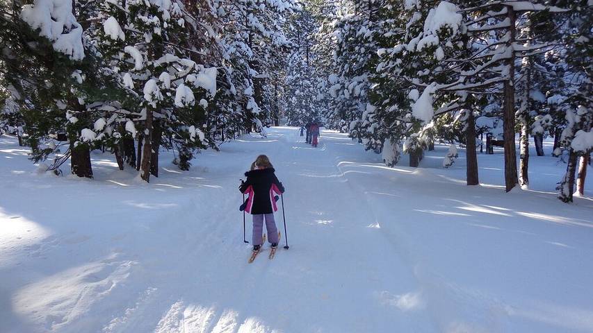Log cabin for 4 people, with terrace in South Lake Tahoe