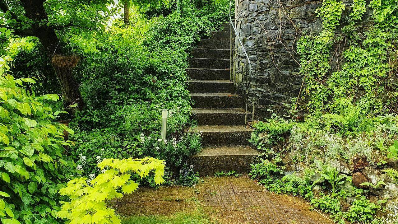 Ganze Ferienwohnung, Ferienwohnung für 2 Personen (46 m²) in Overath in Overath, Rheinisch-Bergischer Kreis