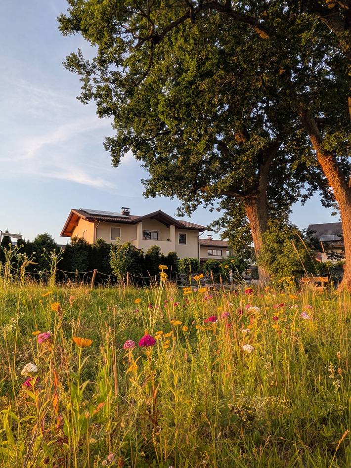 Ferienparadies Hafner - Ferienwohnung